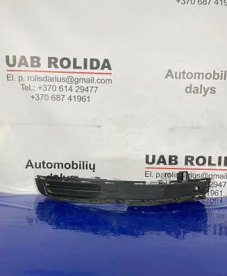 Front bumper lower grill