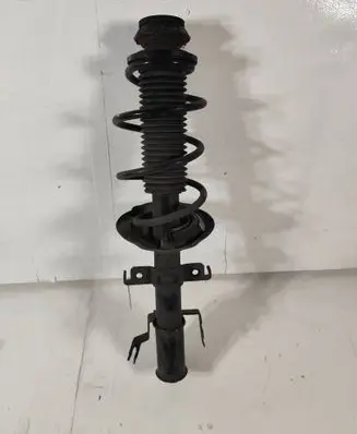 Renault Captur II Front shock absorber with coil spring 540305060R