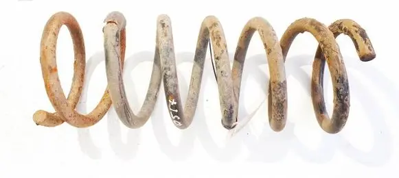 Ford S-MAX Rear coil spring