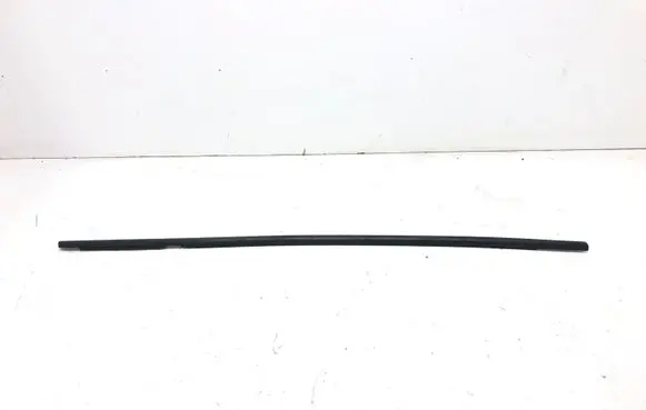 Renault Scenic III - Grand scenic III Front door glass trim molding 