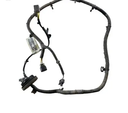 Other wiring loom