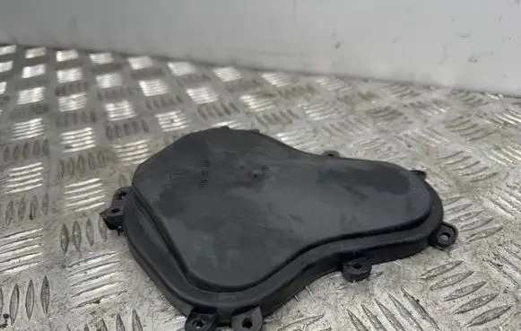 Headlight/headlamp dust cover