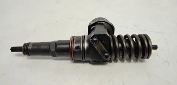 Seat Alhambra (Mk1) Fuel injector 098130073AC 0414720029