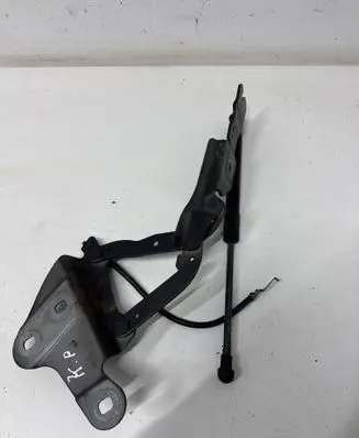 BMW X1 E84 Engine bonnet/hood hinges 2990359 ES03