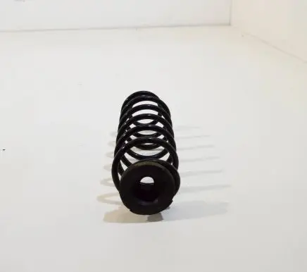 Rear coil spring
