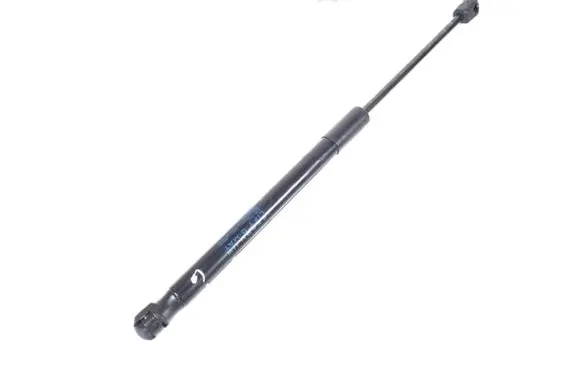 Tailgate strut