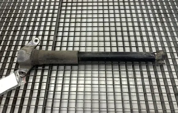 Jaguar F-Pace Rear shock absorber/damper 