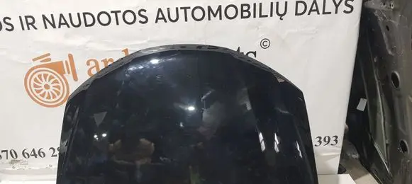 Engine bonnet/hood