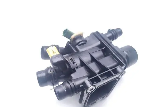 Thermostat/thermostat housing