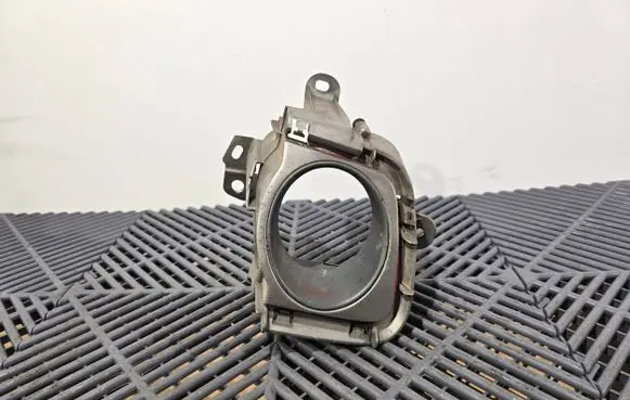 Front fog light trim/grill