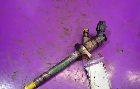 Peugeot Partner Fuel injector 