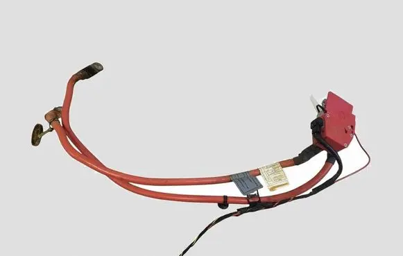 BMW 1 F20 F21 Positive cable (battery) 923001704 10057310