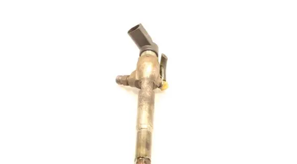 Renault Megane II Fuel injector