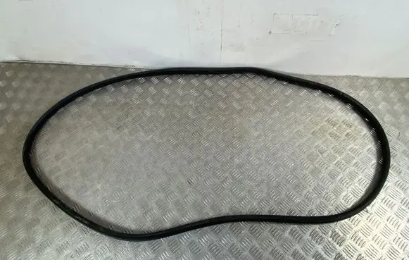 Renault Arkana Front door rubber seal