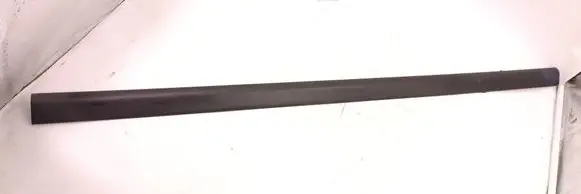 Rear door trim (molding)