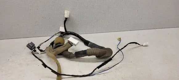 Front door wiring loom