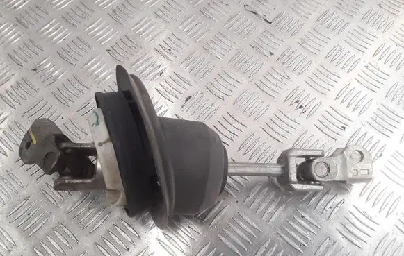 Renault Latitude (L70) Steering column universal joint 623409