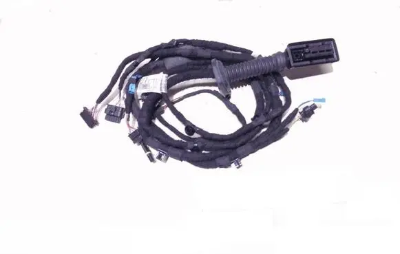 Front door wiring loom