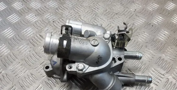 Thermostat/thermostat housing