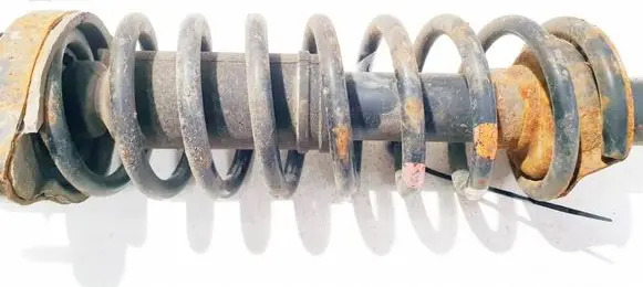 Rear coil spring