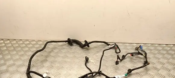 Tesla Model 3 Highland Front door wiring loom 189732202B