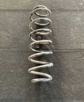 Skoda Roomster (5J) Rear coil spring