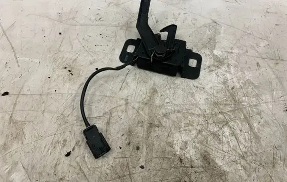 Opel Insignia A Engine bonnet/hood lock/catch 08287