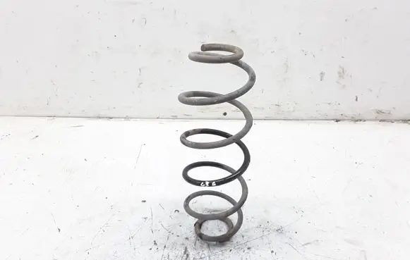 Rear coil spring
