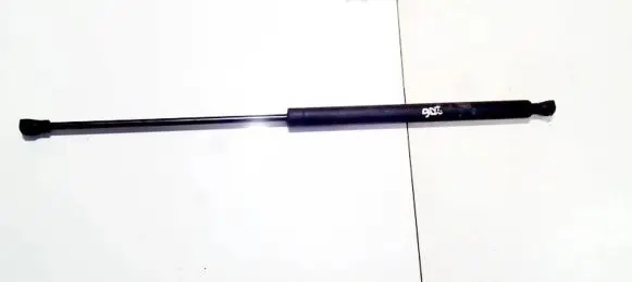 Front bonnet/hood damper/strut