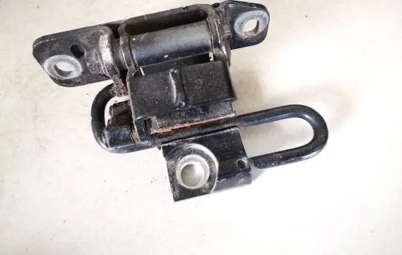 Volkswagen Phaeton Rear door lower hinge 3d4833411c