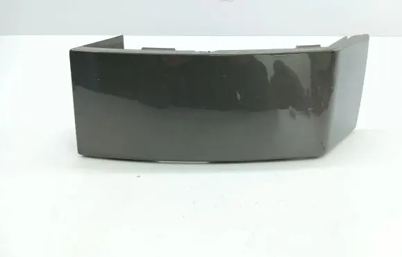 Rear/tail light trim molding