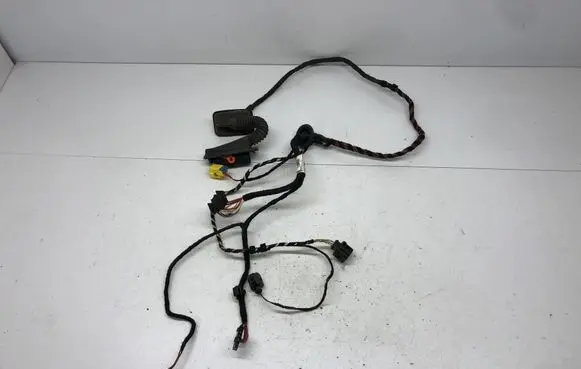 Volkswagen PASSAT CC Front door wiring loom 3C8971120BS