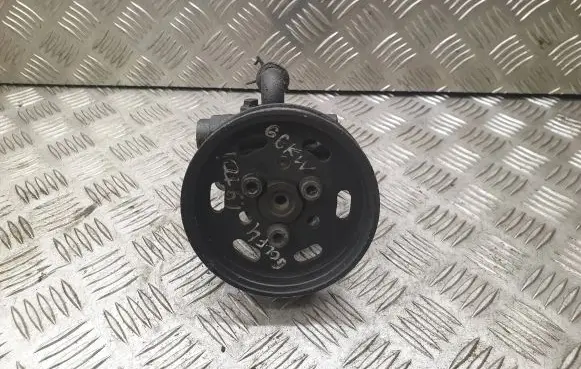 Volkswagen Golf IV Power steering pump pulley 038145255B