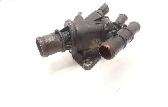 Thermostat/thermostat housing