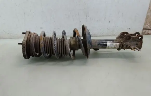 Citroen Nemo Front shock absorber with coil spring