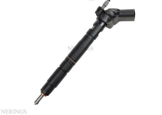Porsche Cayenne (92A) Fuel injector 0986435412