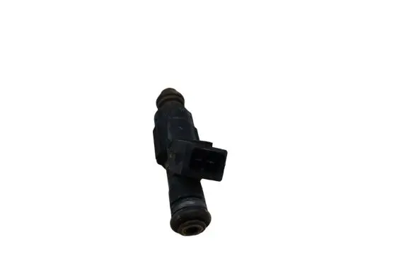 Ford Focus Fuel injector 0280155819