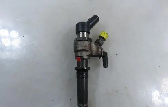 Peugeot Partner Fuel injector 9652173780