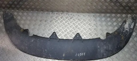 Front bumper lip