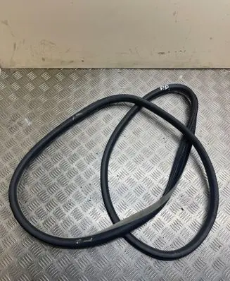 Renault Latitude (L70) Front door rubber seal 