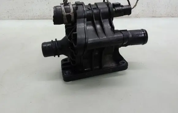 Thermostat/thermostat housing
