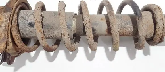 Toyota Corolla E120 E130 Rear coil spring