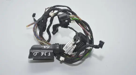 Rear door wiring loom