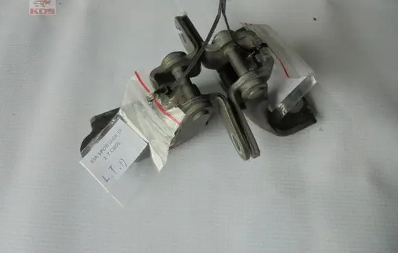 KIA Sportage Rear door hinge set 
