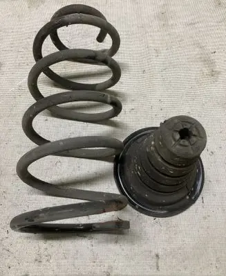 Rear coil spring
