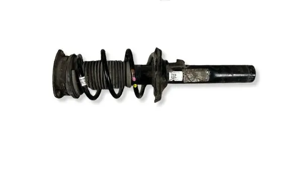 Volkswagen Tiguan Front shock absorber with coil spring 5QF412022BK