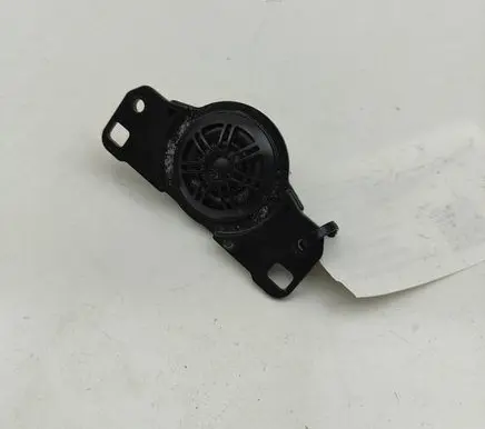 Rear door speaker