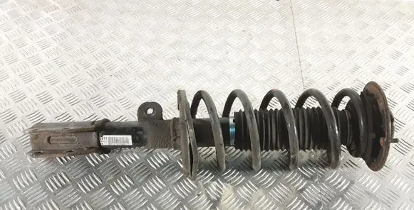 Opel Antara Front shock absorber with coil spring SA010B004