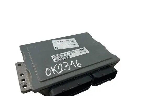 Engine control unit/module ECU