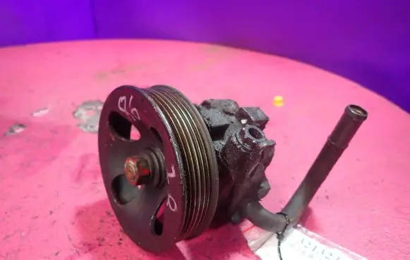 Hyundai Trajet Power steering pump